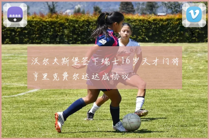 沃尔夫斯堡签下瑞士16岁天才门将亨里克费尔达达成协议