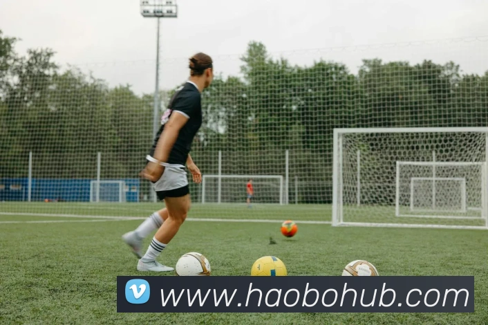 多媒体互动体验